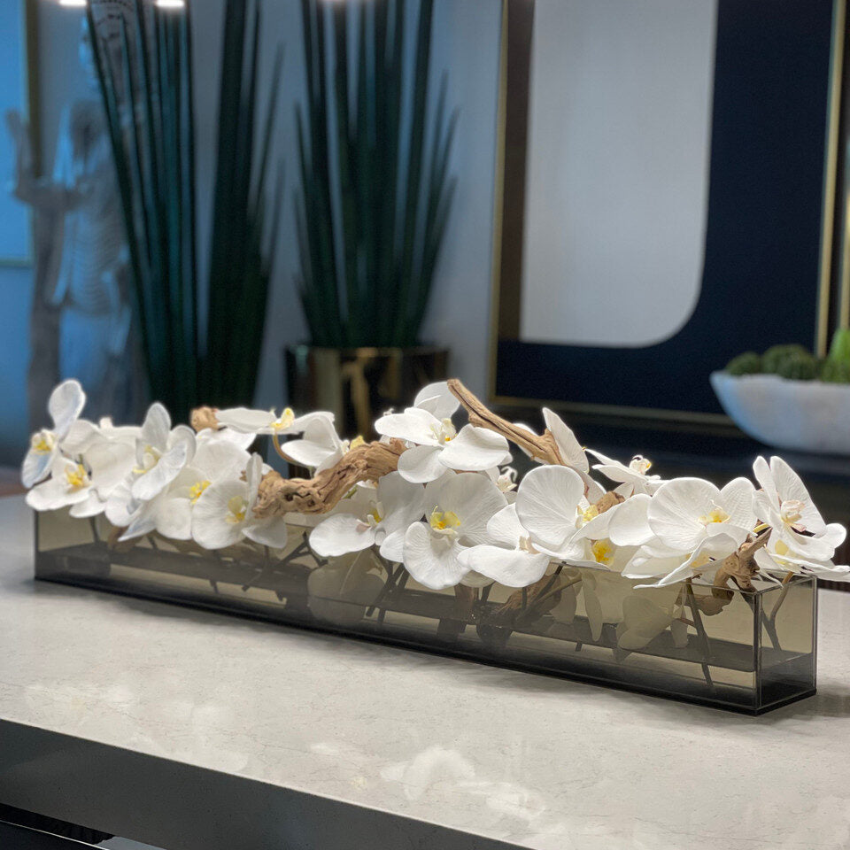 48″ Casa Moderna Black Tinted Glass Plate Planter with white Phalaenopsis orchids