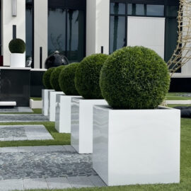 Large Block Fiberglass Planter with 20″ Topiary
(1 in Stock)