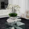 Avenue Bowl with White Phalaenopsis Orchids