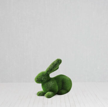 Laying Rabbit