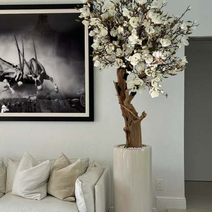 Glossy Beige St. Tropez Planter with Custom Made Magnolia Tree