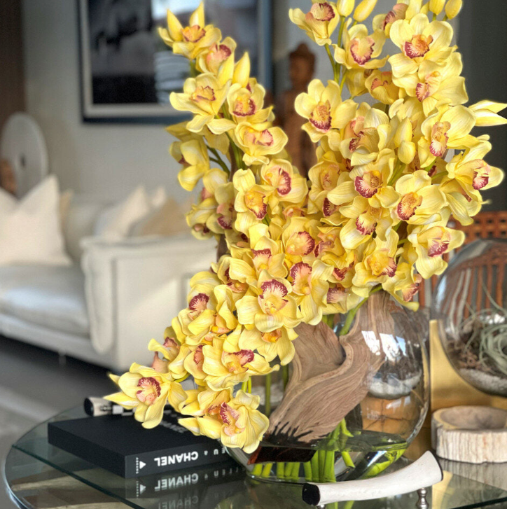 Yellow Cymbidiums in Lunar Planter