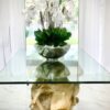 Avenue Bowl with White Phalaenopsis Orchids